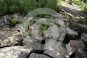 Beautiful stonegarden with streamside