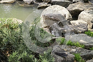 Beautiful stonegarden with streamside