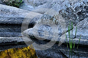 Beautiful stones and plants at bottom of granite Aktovo canyon