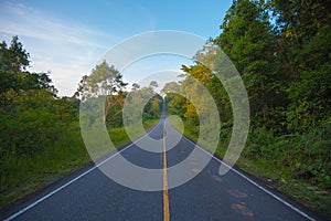 Beautiful Straight empty road through forest, background