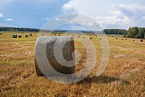 Beautiful straw bales on farm field in autumn day