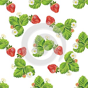 Beautiful strawberries