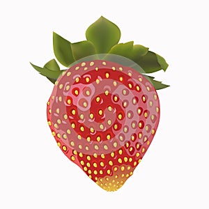 Beautiful strawberries.