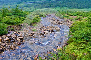 Beautiful stream