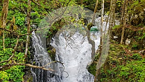 Beautiful stream and cascades in lush green forest. Sunikov vodni gaj, Soca river, Slovenia.