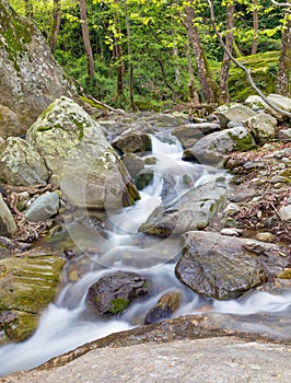 Beautiful stream on Pelion mount near Zagora village, Greece