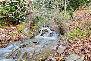 A beautiful stream on Pindus mountain, Greece