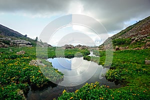 Beautiful stream in the Siberian mountains Sayan