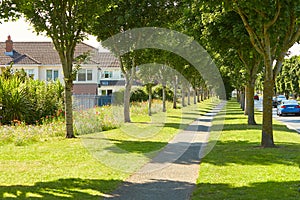 Beautiful street alley with trees and flowers bed, green grass, and walk way in Dublin.