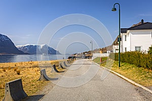 Beautiful street with holiday houses at fiords photo