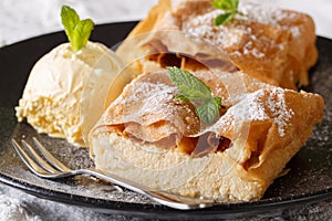 Beautiful strudel with cottage cheese, with vanilla ice cream cl