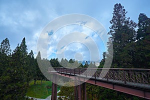 Beautiful stunning natural scenics above walkway in Alishan national forest