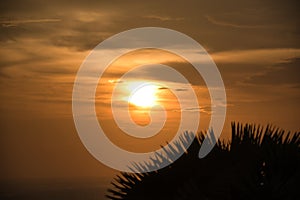 Beautiful stunning scenic panoramic view of the golden sky and reflections on the Andaman sea with palm trees during the sunset at