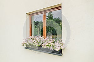 Beautiful style window decorated with light summer flowers in Poland