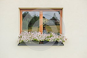 Beautiful style window decorated with light summer flowers in Poland