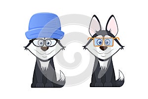 Beautiful stylish dogs with emotions of smile, with optical glasses.