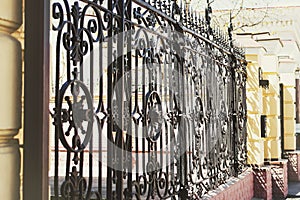 Beautiful Stylish metal fence