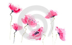 Beautiful stylized red poppy flowers on white background