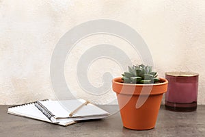 Beautiful succulent and notebooks on stone table. Home plant