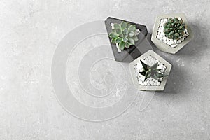Beautiful succulent plants in stylish flowerpots on light background, flat lay. Home decor