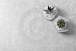 Beautiful succulent plants in stylish flowerpots on light background, flat lay with space for text. Home
