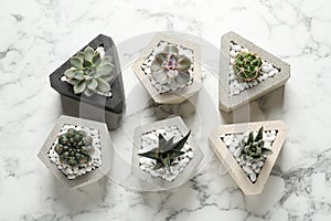 Beautiful succulent plants in stylish flowerpots on marble background. Home decor
