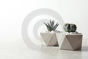 Beautiful succulent plants in stylish flowerpots on table against white background. Home decor