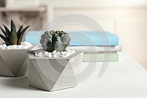 Beautiful succulent plants in stylish flowerpots on table indoors, space for text. Home