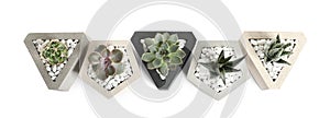 Beautiful succulent plants in stylish flowerpots on white background, top view. Home