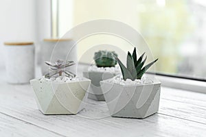 Beautiful succulent plants in stylish flowerpots on windowsill