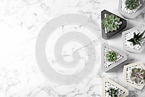 Beautiful succulent plants in stylish  on marble background, flat lay with space for text. Home decor