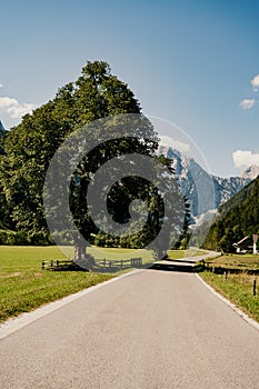 Beautiful summer alpine landscape. Logar valley or Logarska dolina, Kamnik Savinja Alps, Slovenia, Europe.