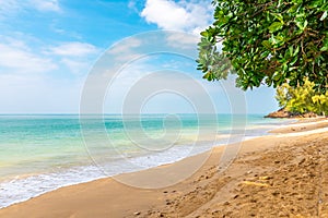 Beautiful summer beach at Koh Lanta island, Thailand. View from shadow of trees and palms growing in sand. Tropical paradise,