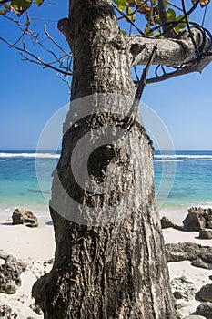 beautiful summer beach view