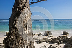 beautiful summer beach view