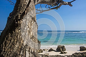 beautiful summer beach view