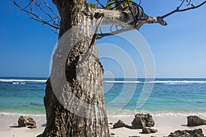 beautiful summer beach view