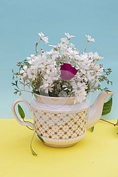 Beautiful summer bouquet in kettle on yellow-blue background