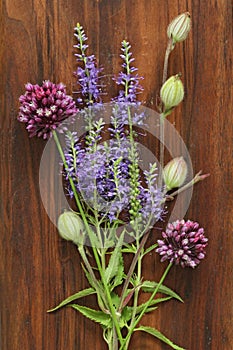 A beautiful summer bouquet, wildflowers, wild onions, Veronica l