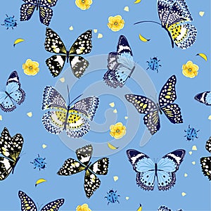 Beautiful summer butterflies flying ,lady bug,insect seamless pa