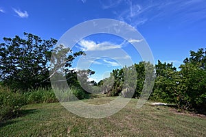 Beautiful summer cloudscape over Eco Pond Trail in Everglades National Park.