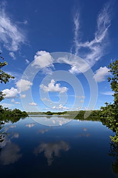 Beautiful summer cloudscape over Paurotis Pond in Everglades National Park.