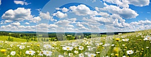 Beautiful summer colorful panoramic landscape of flower meadow 1690444489803 3