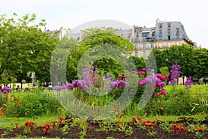 The charming garden in Jardin des Tuileries in Paris photo