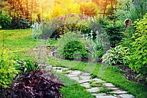 beautiful summer cottage garden view with stone pathway photo