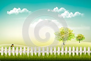 Beautiful summer countryside landscape background.