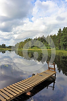 Beautiful summer day at DammsjÃ¶n in HÃ¶gbo Bruk