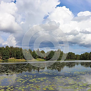 Beautiful summer day at DammsjÃ¶n in HÃ¶gbo Bruk