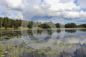 Beautiful summer day at DammsjÃ¶n in HÃ¶gbo Bruk