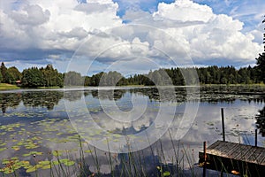 Beautiful summer day at DammsjÃ¶n in HÃ¶gbo Bruk